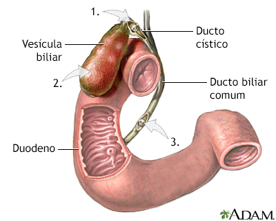 Indicações