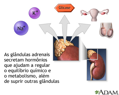 Secreção de hormônio da glândula adrenal