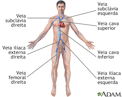 Veias profundas