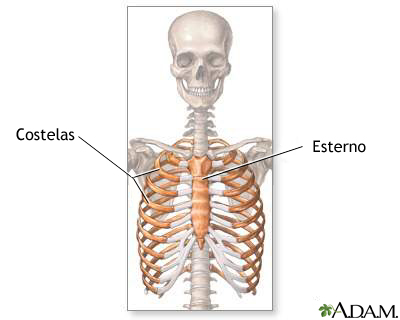 Caixa torácica