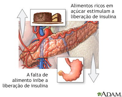 Alimento e liberação de insulina