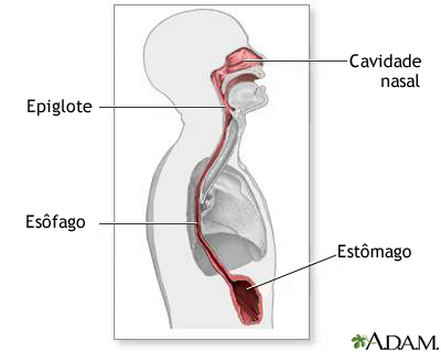 Esôfago