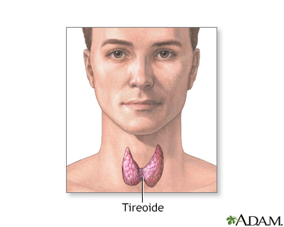 Glândula tireoide