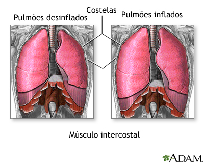 Respiratória