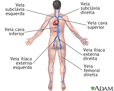 Veias profundas