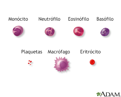 Células sanguíneas