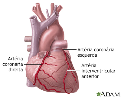 Artérias cardíacas anteriores