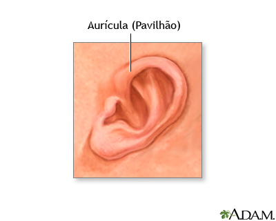 Aurícula de um recém-nascido