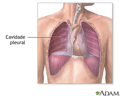 Cavidade pleural