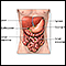 Abdominal exploration - series