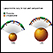 HDL and LDL