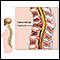 Compression spinal fracture