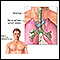 Mediastinum