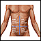 Cuadrantes abdominales