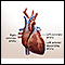 Heart bypass surgery - series - Normal anatomy