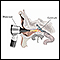 Otoscopic exam of the ear