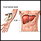 Liver function tests